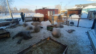 Фото: пресс-служба прокуратуры Алтайского края