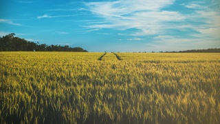 Фото: unsplash.com