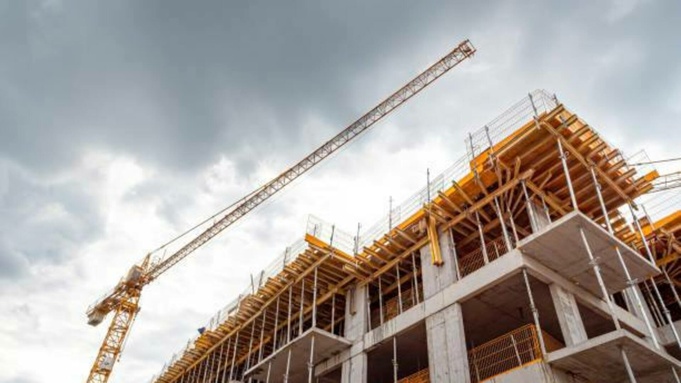 Фото: pexels.com