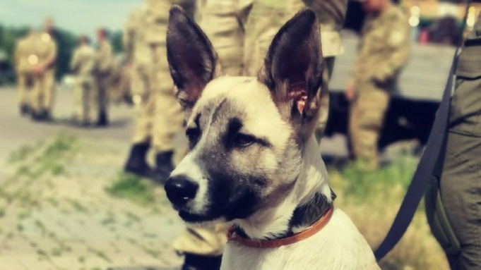 Фото: "КП-Новосибирск"