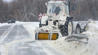 Посёлок в пригороде Барнаула / Фото: Екатерина Смолихина  amic.ru
