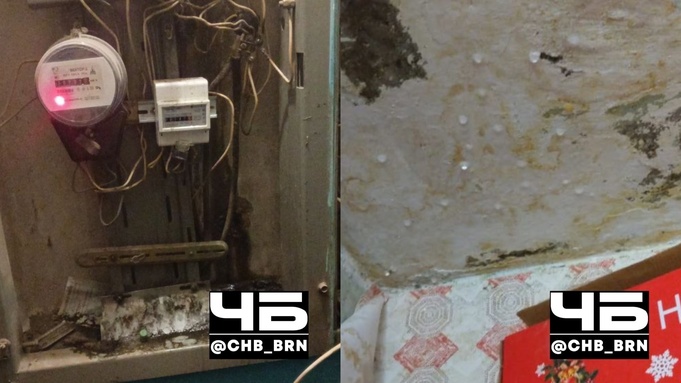 Фото: "Чёрное и Белое Барнаул"