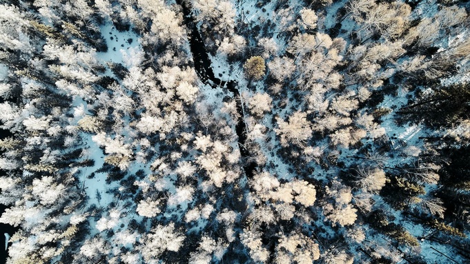 Фото: unsplash.com