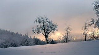 Фото: unsplash.com