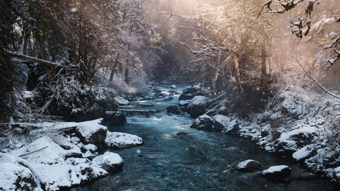 Фото: unsplash.com