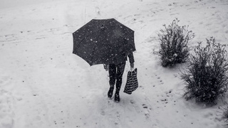 Фото: unsplash.com