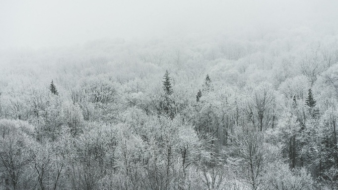 Фото: unsplash.com