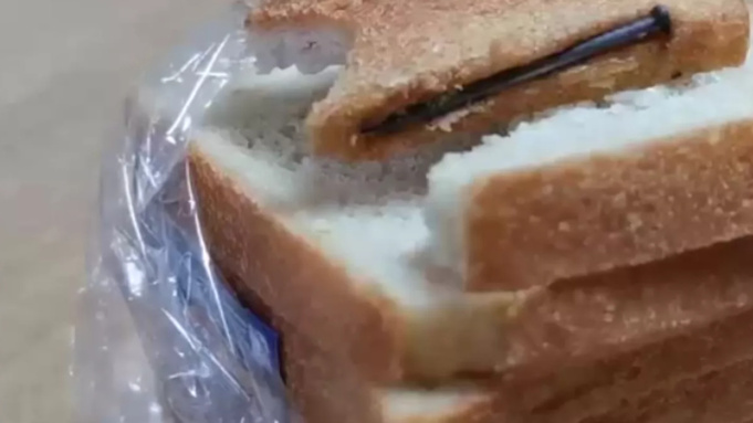 Фото: t.me/mash_siberia