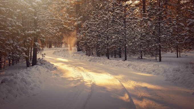 Фото: unsplash.com