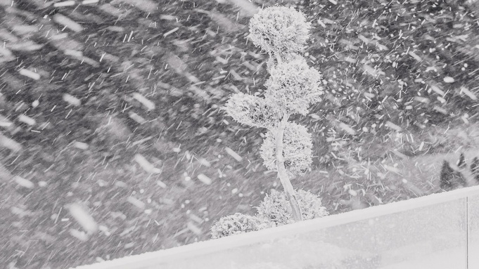 Фото: unsplash.com