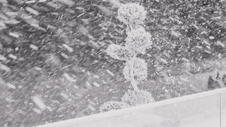 Фото: unsplash.com