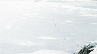 Фото: unsplash.com