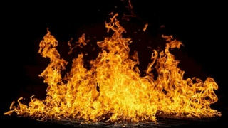 Фото: unsplash.com