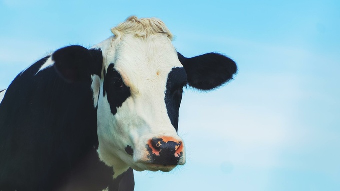 Фото: unsplash.com