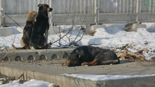 Фото: amic.ru