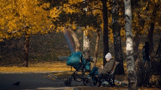 Парк / Фото: Екатерина Смолихина / amic.ru