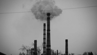 Фото: unsplash.com