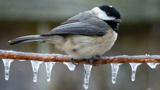 Фото: unsplash.com