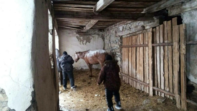 Фото: "Вести Алтай"