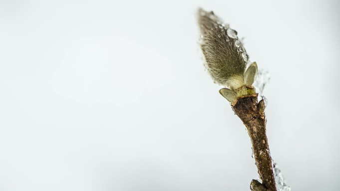 Фото: unsplash.com