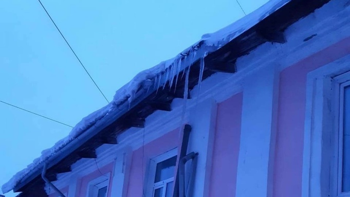 Фото: СК по Алтайскому краю