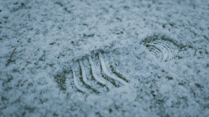 Фото: unsplash.com