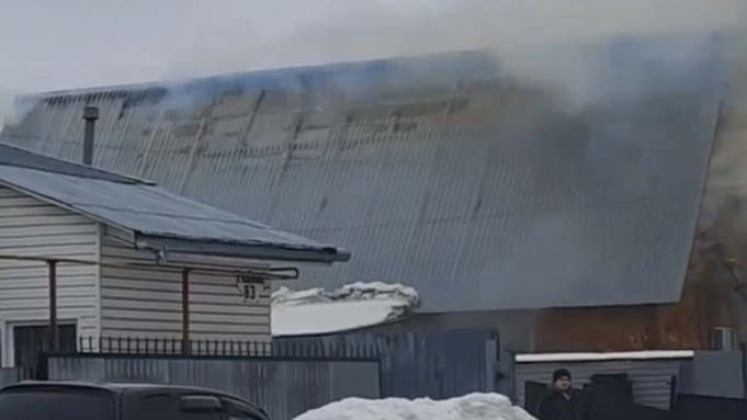 Кадр из видео