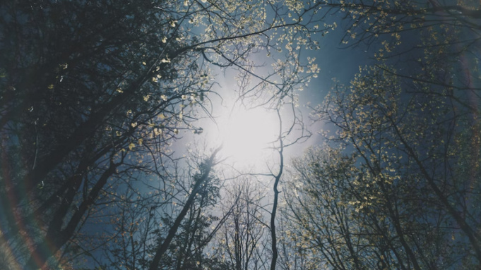 Фото: unsplash.com