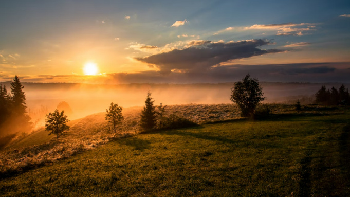 Фото: unsplash.com