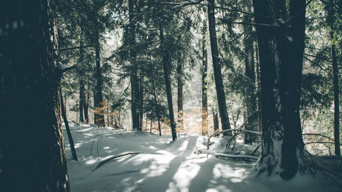 Фото: unsplash.com