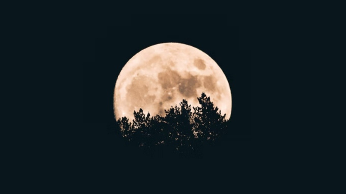 Фото: unsplash.com