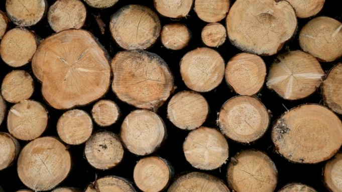 Фото: unsplash.com