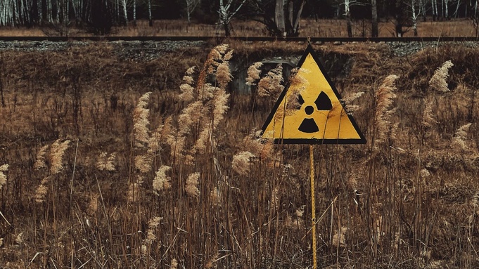 Фото: unsplash.com