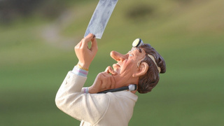 Снимок лёгких / Фото: pixabay.com