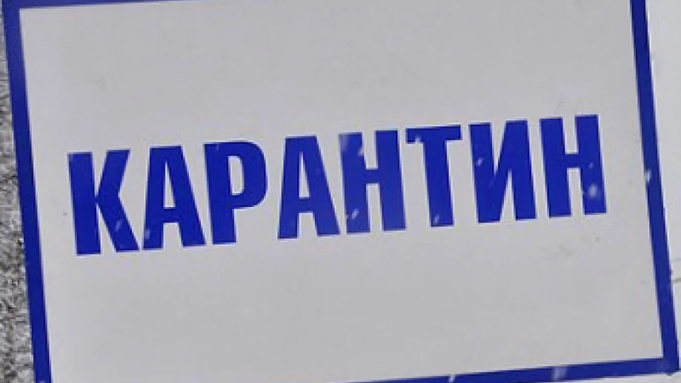 Фото: сайт администрации Заринска / admzarinsk.ru