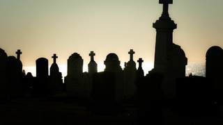 Фото: unsplash.com