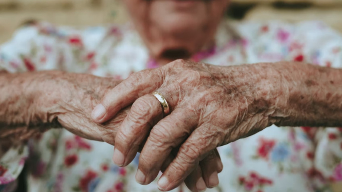 Фото: unsplash.com