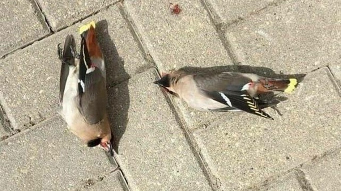 Фото: "В курсе 22"