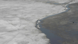 Фото: Алина Богомолова / amic.ru