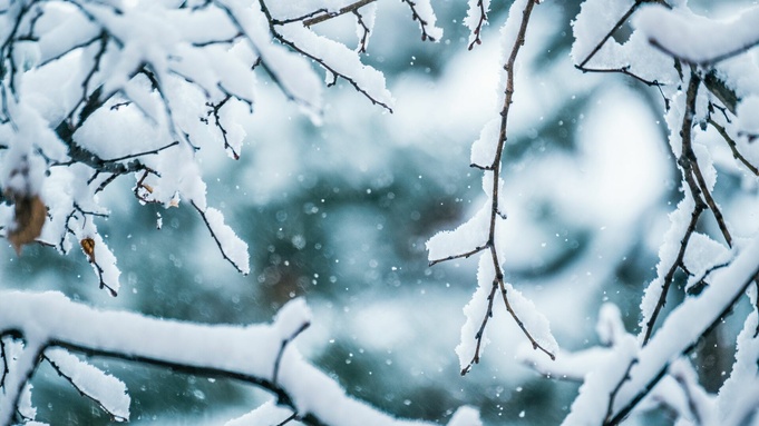 Фото: Victor Serban / 