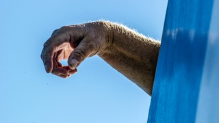 Фото: unsplash.com