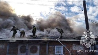 Фото: t.me/mchs_altkray