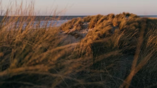 Фото: unsplash.com