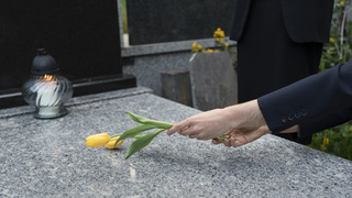 Памятник / Фото: Freepik