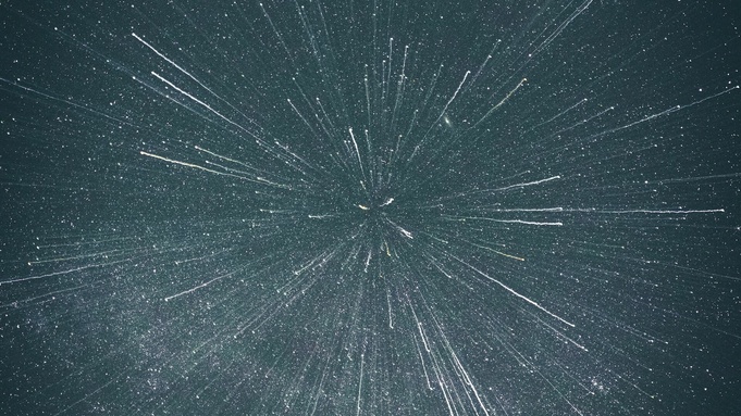 Фото: unsplash.com