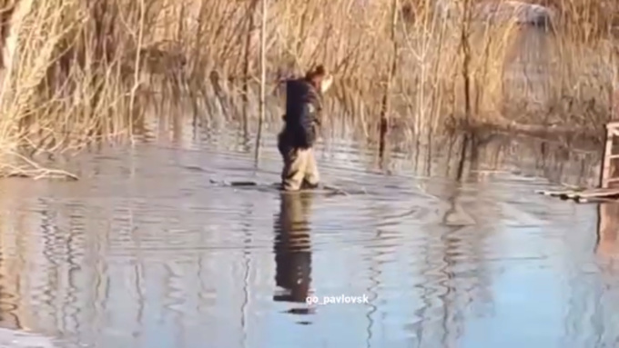 Фото: unsplash.com