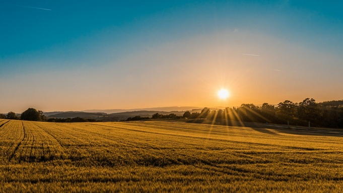 Фото: unsplash.com