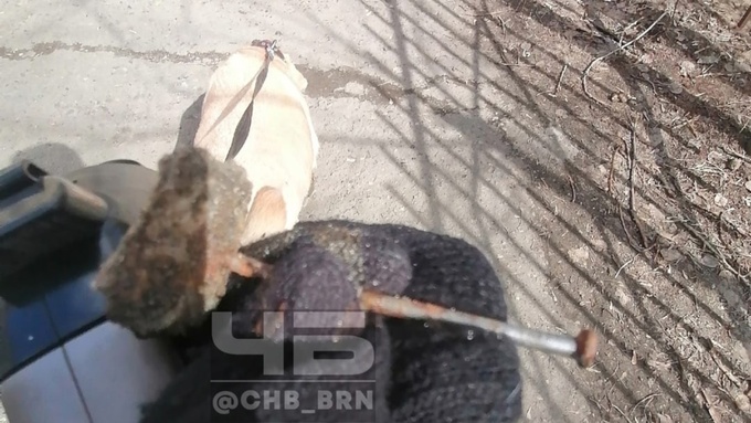 Фото: "Чёрное и Белое Барнаул"