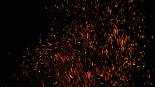 Фото: unsplash.com