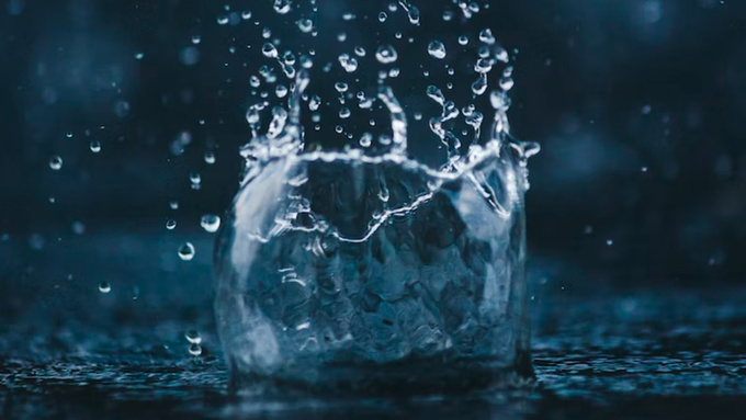 Фото: unsplash.com